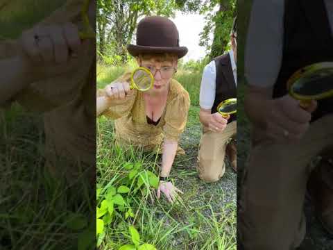 Permaculture Design Unlock