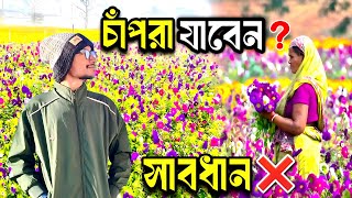 Ranaghat Chapra Flower Garden 2026 | Chapra Flower Garden 2026 | Khirai Flower Garden 2026 | Chapra 