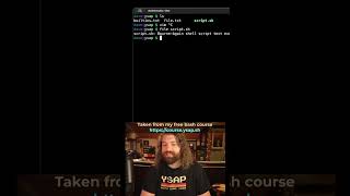 Ditching the .sh Extension: Why You Dont Need It