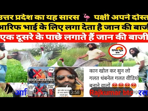 गलत थमनेल और विडियो बनाने वाले कान खोलकर सुन लीजिए #aari#shorts#short #shortvideo #viral#rajkumarbtc