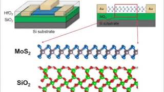 The effects of surface polarity and dangling bonds on the electronic properties of monolayer and bil