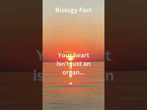 Biology Love Facts 4 #shorts #biology #love