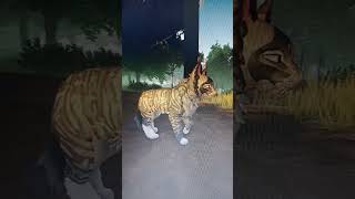 Only minor changes. #warriorcats #cat #wcue #warriors #roblox #change