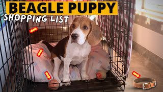 Beagle Puppy Shopping List – The COMPLETE Guide