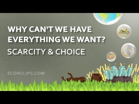 🚗 🏡 🏖 Why Can't We Have Everything We Want? | Scarcity and Choice