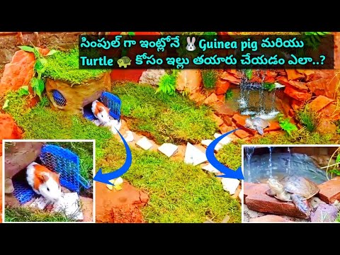 Primitive Technology: build a small house like nature at home