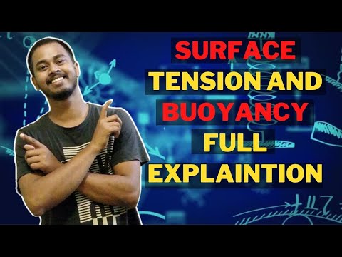 What Is The Difference Between Buoyancy And Surface Tension | IN HINDI | | WITH EXAMPLE |