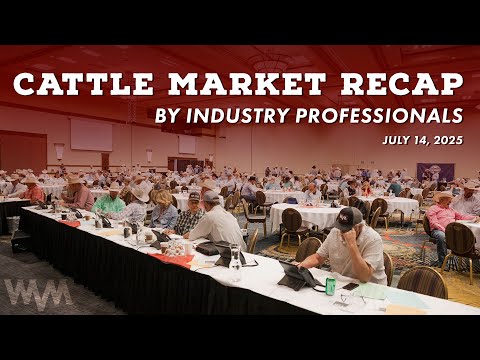 Industry professionals TELL ALL about the 2025 Cattle Market
