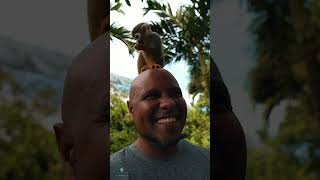 Join the Real Estate Revolution! 📈🏠 #learntoearnonline