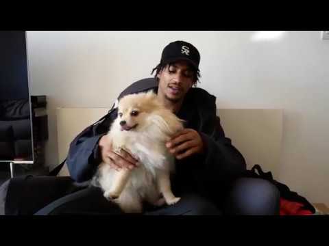 The Interview: Cookie