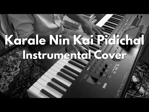 Karale Nin Kai Pidichal - Instrumental Cover by Rejo Abraham Mathew | Devadoothan (2000)