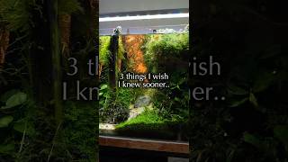 What do you wish you knew before you started aquascaping? #thingsiwishiknew #shorts