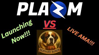 PLAZM & Bernard Bonds LIVE AMA With AJ From EMP, DexFi, EarnFi! Bitnest Rugpull? PACA Finance Rug???