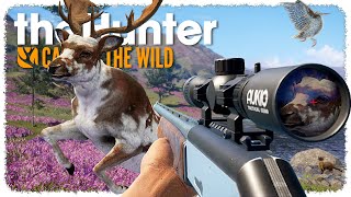 Hunting the NEW SCOTLAND MAP (I got a super rare) | theHunter: Call of the Wild
