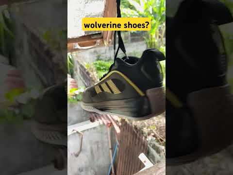 Adidas own the game 3.0 #wolverine #adidas #ownthegame