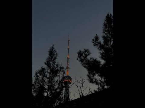 Tweet me!!! Leader :)