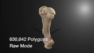 Photogrammetry Using Apple Object Capture