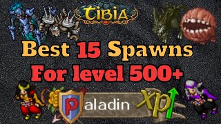 Where to hunt a Level 500 Paladin [Tibia Solo RP]