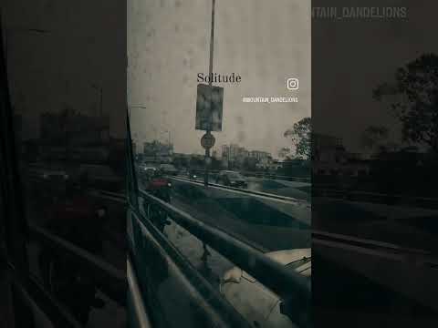 what do you say about this feeling?   Solitude is freedom.. perhaps? #shorts #youtubeshorts