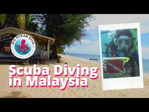 🏝️🥽 Explore Adventurous Scuba Diving in Malaysia! - Big Ocean Dive