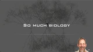 Neuromorphic Frontiers