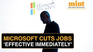 Microsoft Layoffs: Tech Giant Begins Performance-based Layoffs With NO SEVERANCE | AI Boom To Blame?