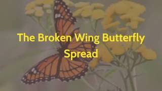 Unlock BIG Gains with a Twist! | The Power of Broken Wing Butterfly