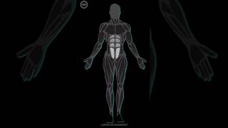 Oblique workout workout at home #quickabs