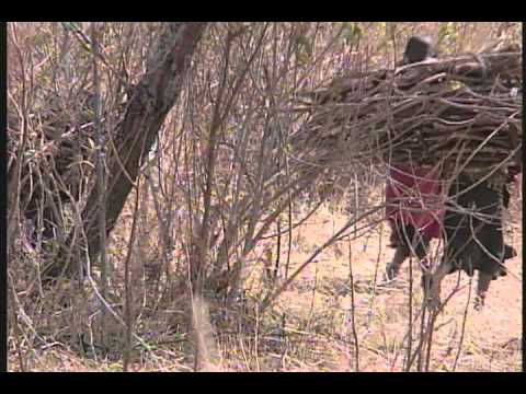 The Maasai People