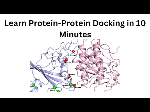 How to perform protein-protein docking on your local protein models