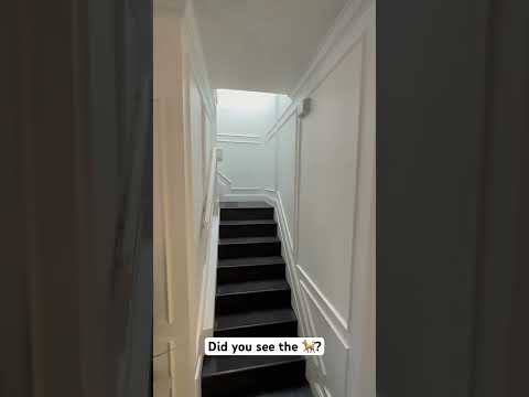 Transforming stairs with custom molding! Watch till the end for a special guest! 👀 #CustomMolding