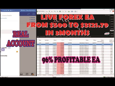 Forex Expert Advisor Live trading Performance (Real Money Account)