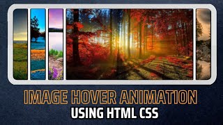 Html css image card hover effect | Image hover effect @learnwithcode102 #cssanimation #csscard