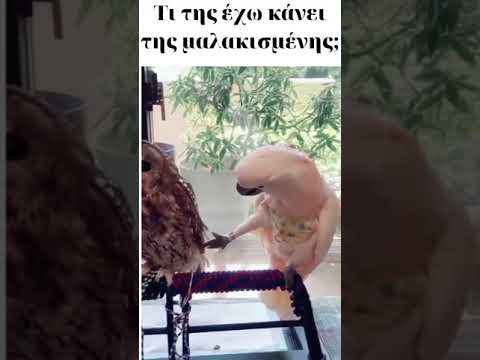 Τι της έχω κάνει;