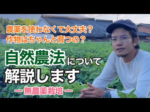 【農業】自然農法の特徴「無農薬栽培」について解説します