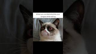 How? #funny #comedy #devcomedy #viralshorts #shorts #trending