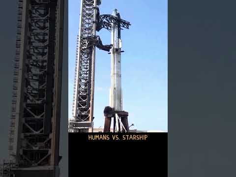 Humans vs. Starship #starship #starships #spacexstarship #starbase #spaceshiptwo #spacex #teamspace