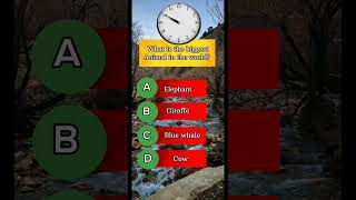 which one do you think ?  #quiz #mindbendingquiz #quizgames #oldestcountry