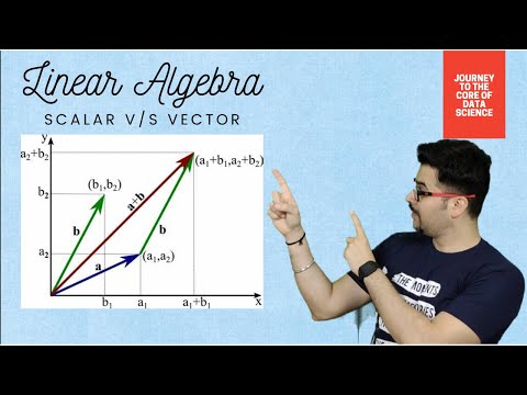 Vector And Scalar Operations | Linear Algebra | Maths For Data Science
