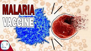 Can Two Malaria Vaccines Eradicate Malaria?