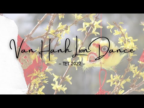 Tet 2022 Recap Highlight Reel | Van Hanh Lion Dance (#abqliondance) - #liondance #yearofthetiger