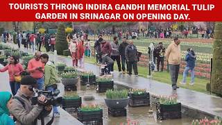 Tourists throng Indira Gandhi Memorial Tulip Garden in Srinagar on opening day.