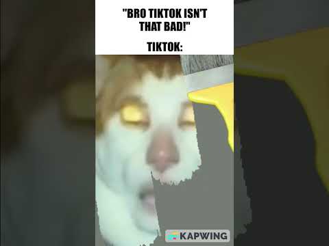 Tiktok Moment 🎨