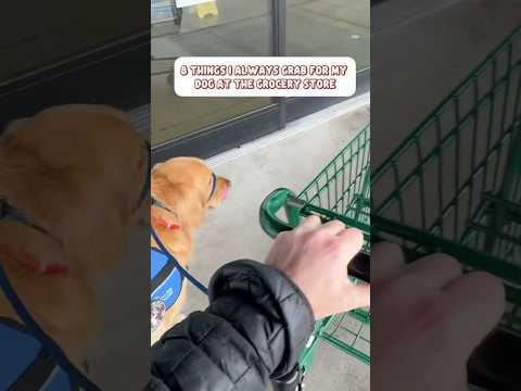 8 things I always grab for my dog when grocery shopping #dogshorts
