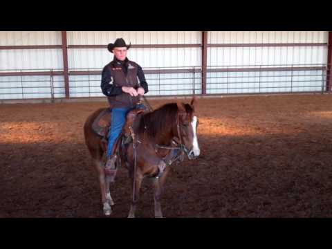 Training Tip: Keeping Your Horse Behind the Bridle