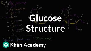 Molecular structure of glucose | Macromolecules | Biology | Khan Academy