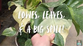 New Lowe's Location & A Big 'Ol Mess!