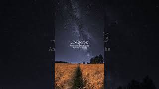 Al-Quran quotes with English translation #islamicshorts #quranquotes