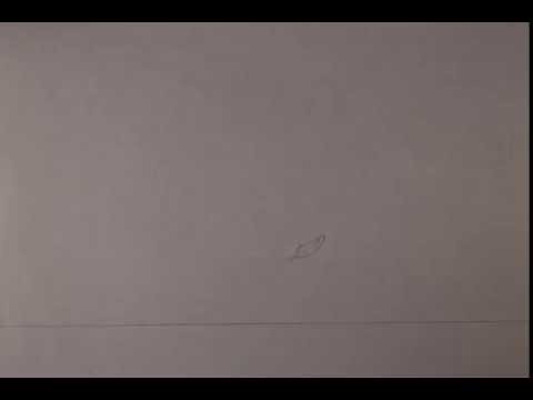 SFSU Animation 1 - Falling Leaf