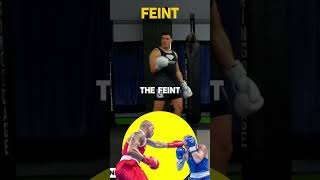 Using front kicks to build a feint  #combatsport #fightingtechniques #mma #learntofight #fightskills